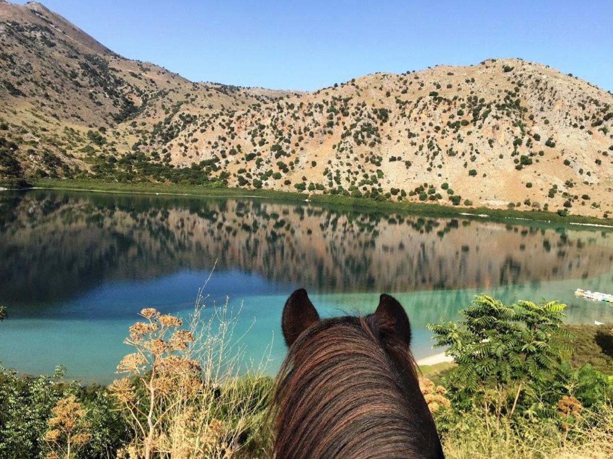 Melidoni X Village المظهر الخارجي الصورة